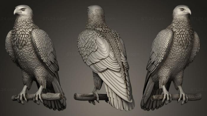 Bird figurines (hawk, STKB_0033) 3D models for cnc
